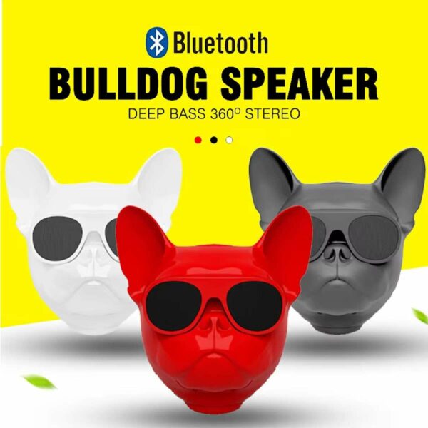 Aerobull - Wireless Bluetooth Lautsprecher (groß)